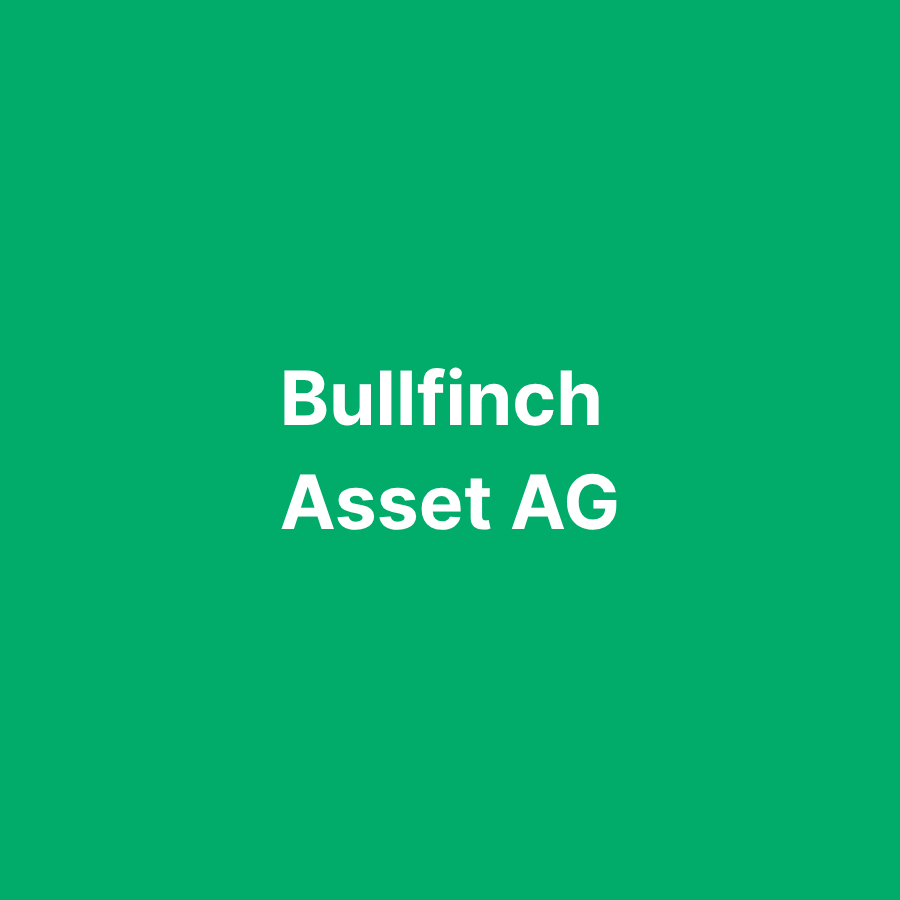 Bullfinch Asset AG