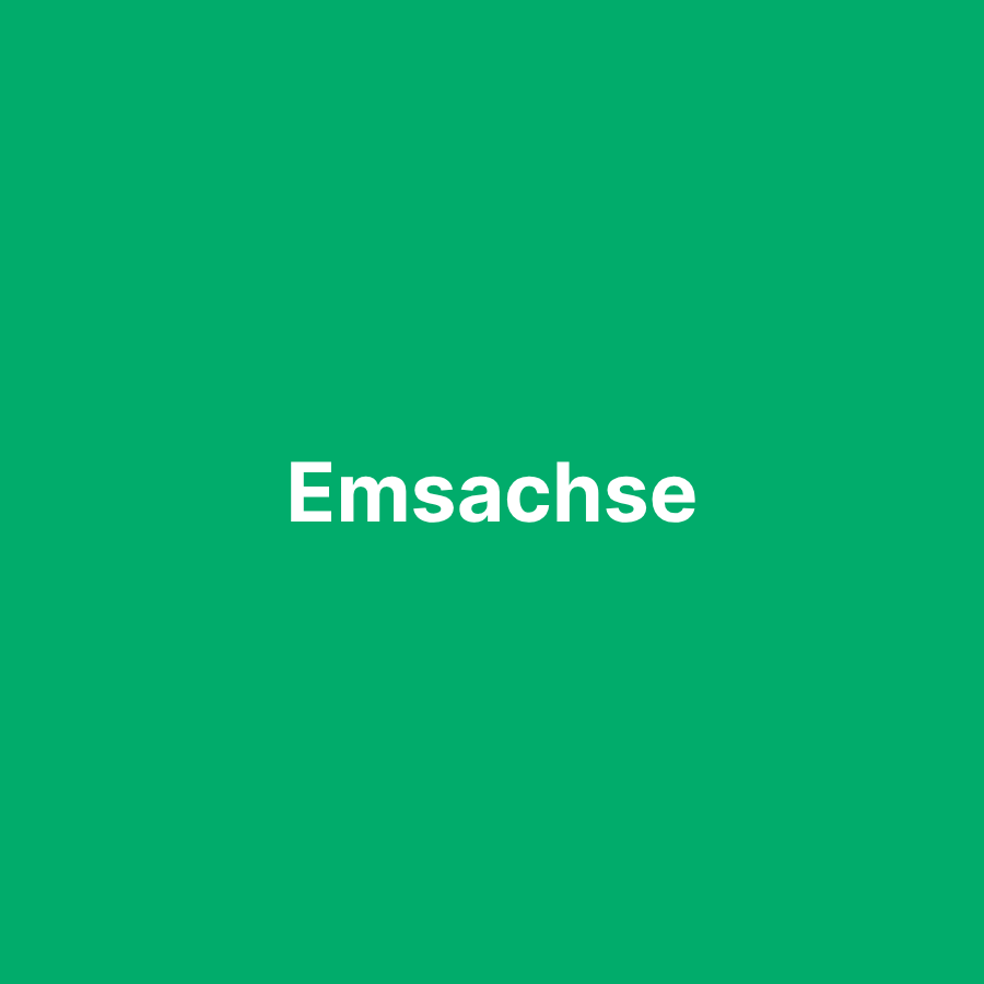 Emsachse